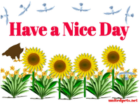have a nice day